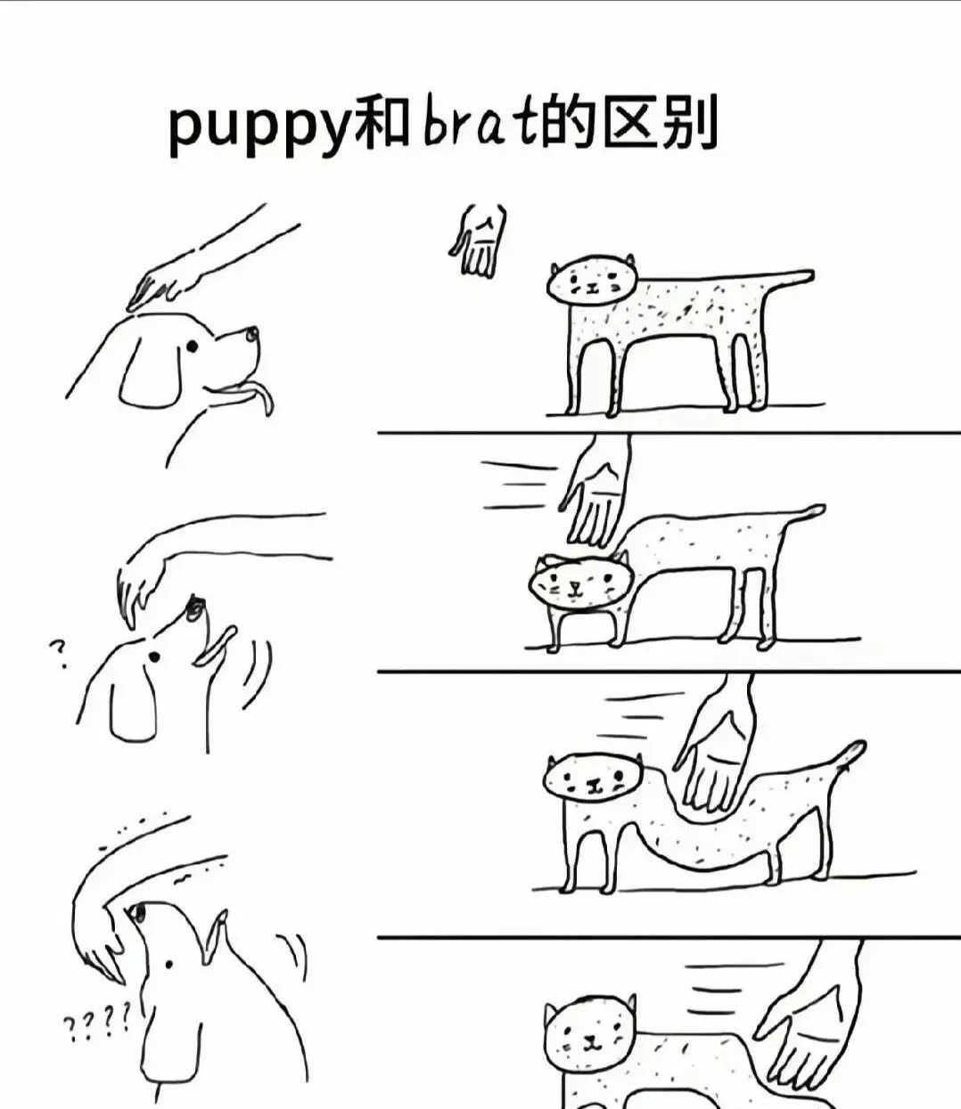 k9是什么？它背后隐藏的秘密你真的知道吗？ 一