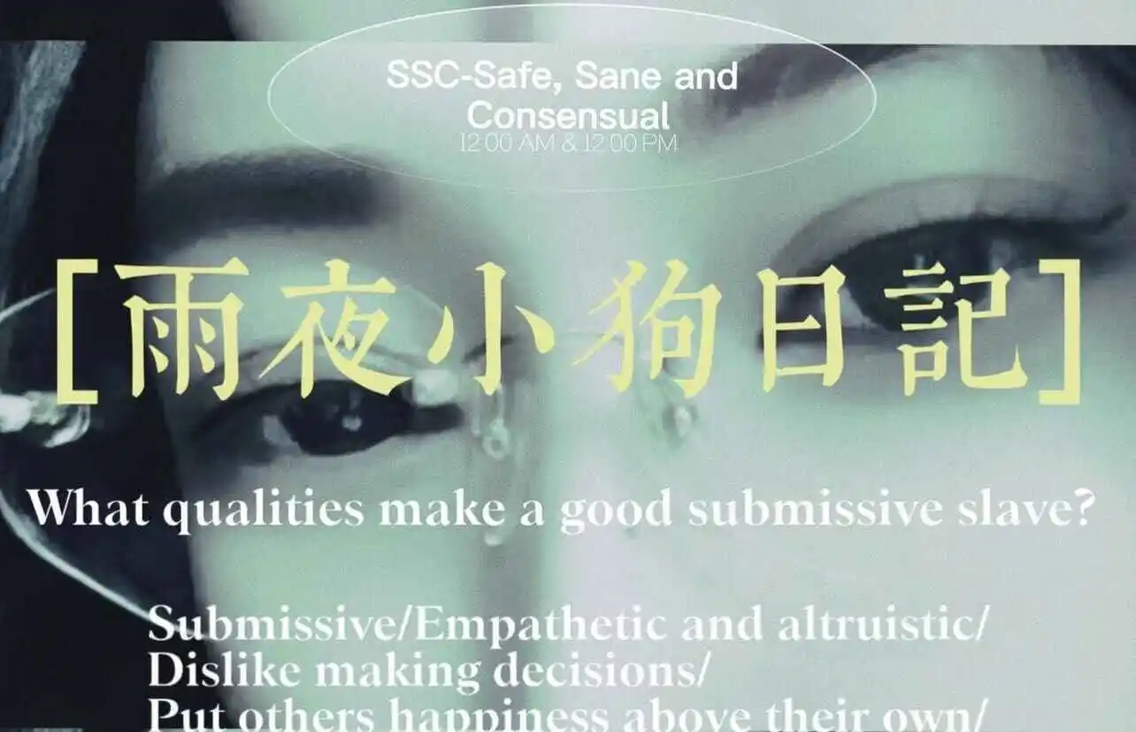 当我第一次踏入k8猫系的世界时，我的心灵被彻底征服了 一