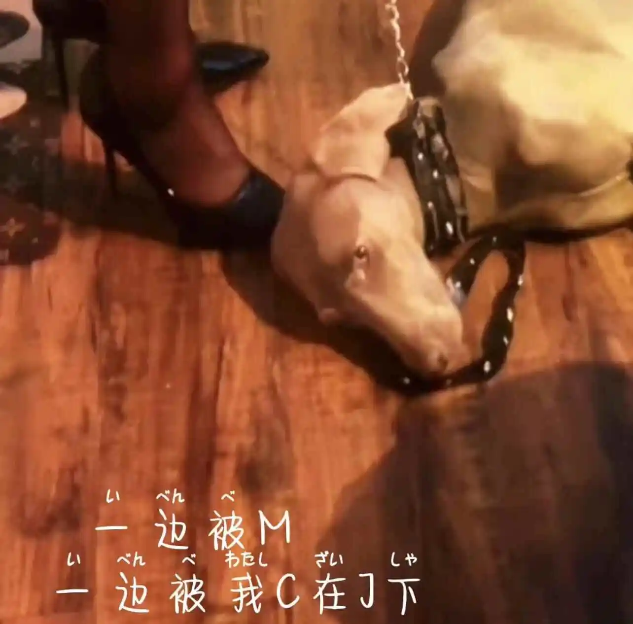 字母圈的aftercare有哪些重要性和实践技巧？ 一