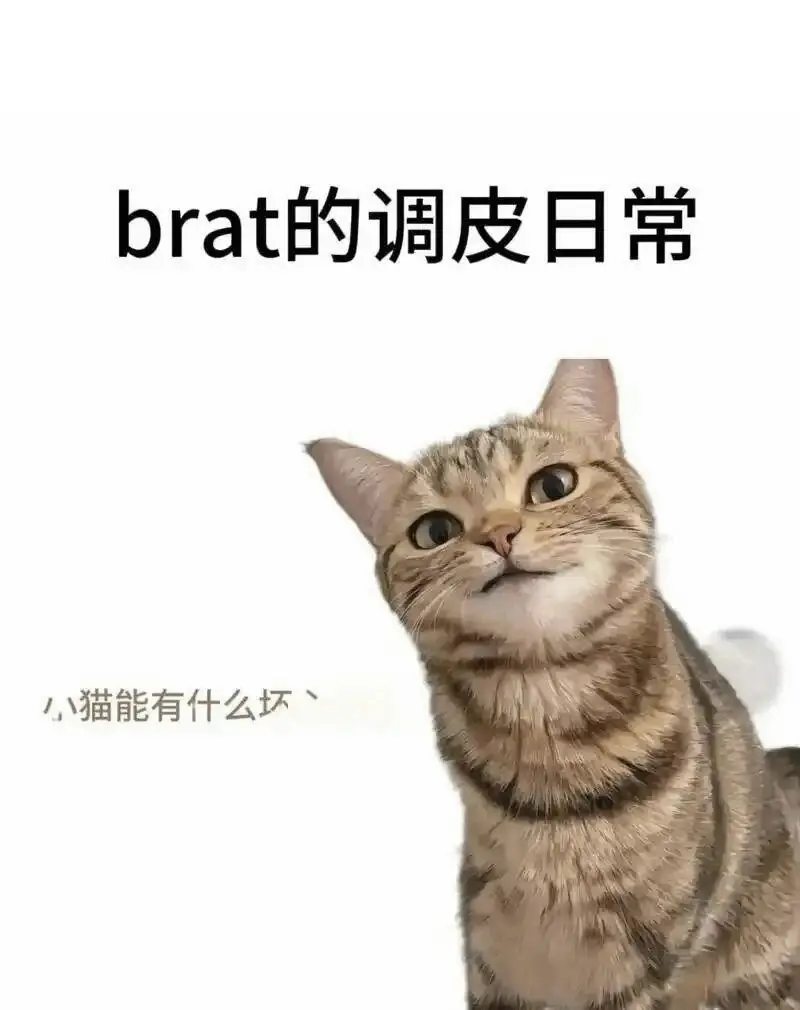 字母圈aftercare的全方位指南，满足你的内心渴望 一
