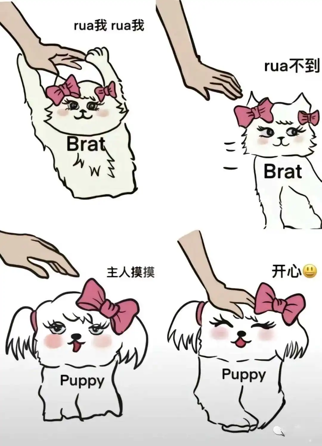 “k8究竟是什么?你不知道的猫奴世界” 一