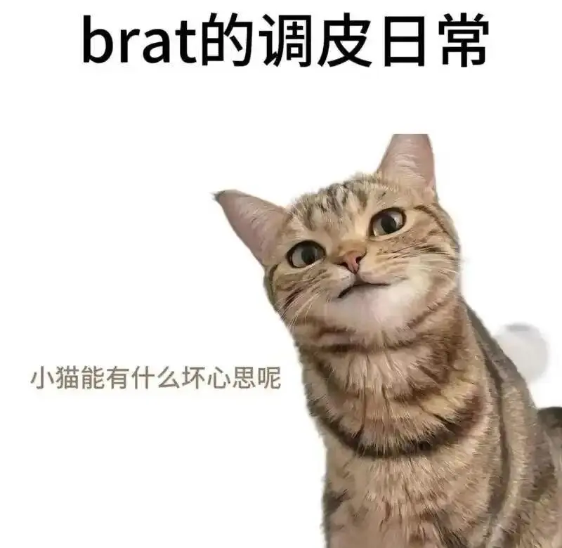“你是否对BDSM圈感到好奇，但又不知道如何正确入圈？” 一