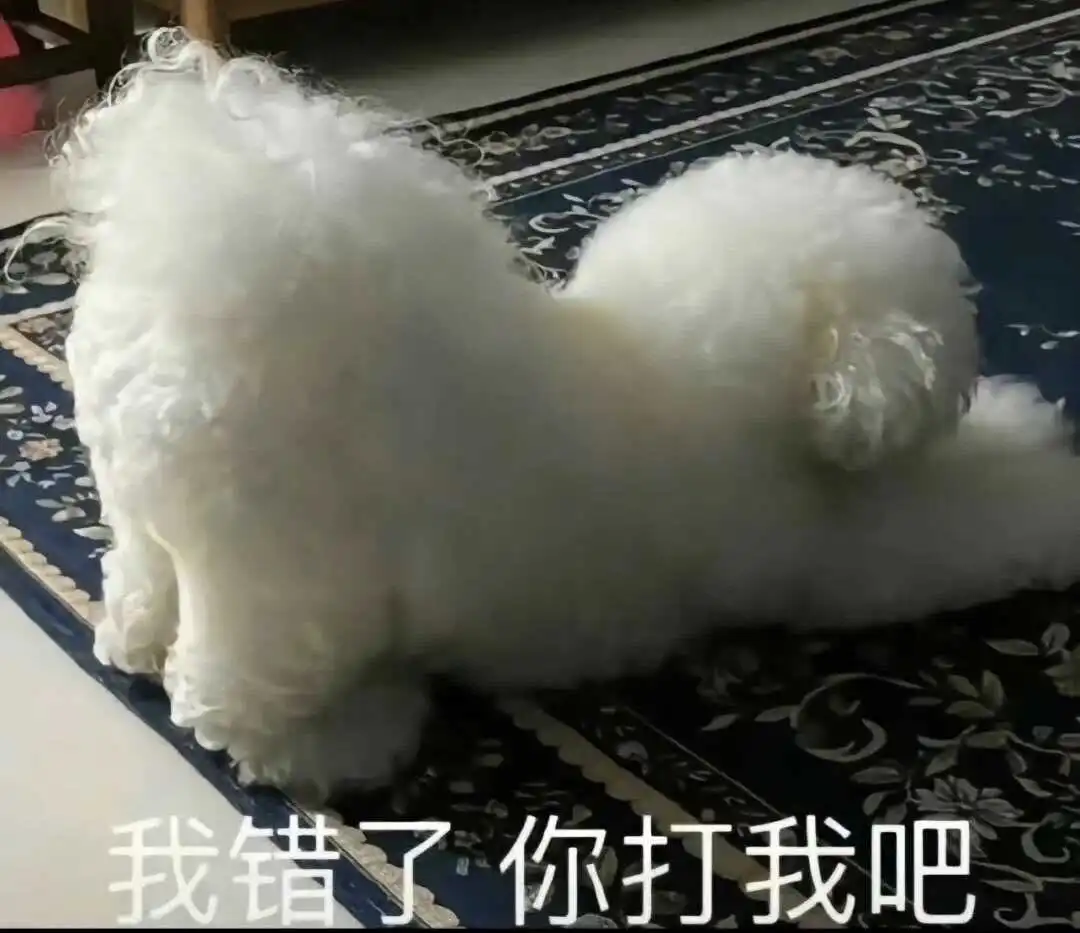 西檬之家sm亚文化新人必读 一