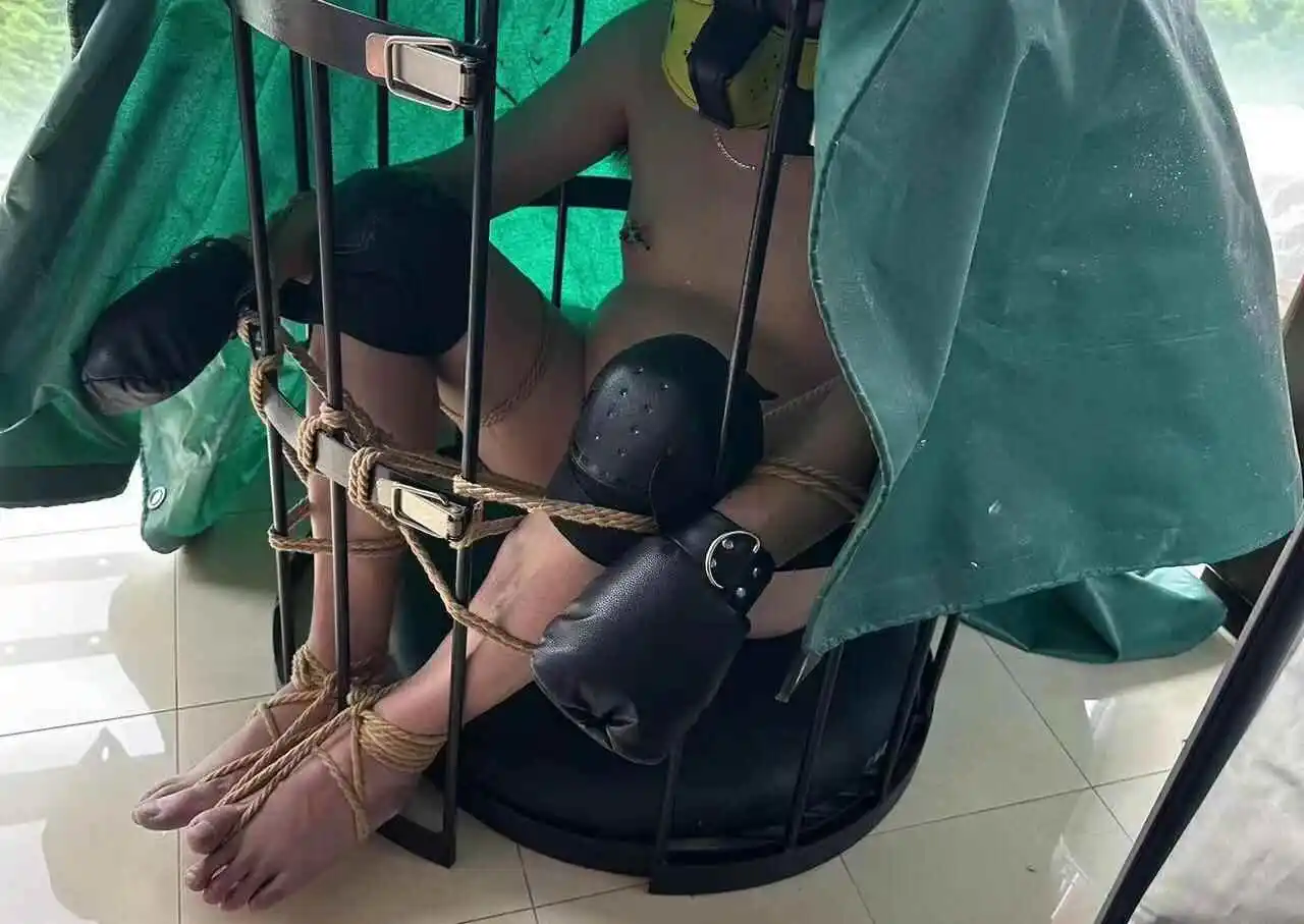 西檬之家什么是K9犬系？ 一