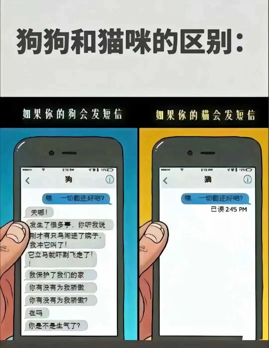西檬之家sp小圈新手必看？入圈前必读的安全守则 一